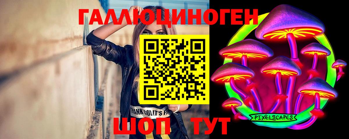 Галлюциногенные грибы MAGIC MUSHROOMS  Вход с VPN  Ноябрьск 