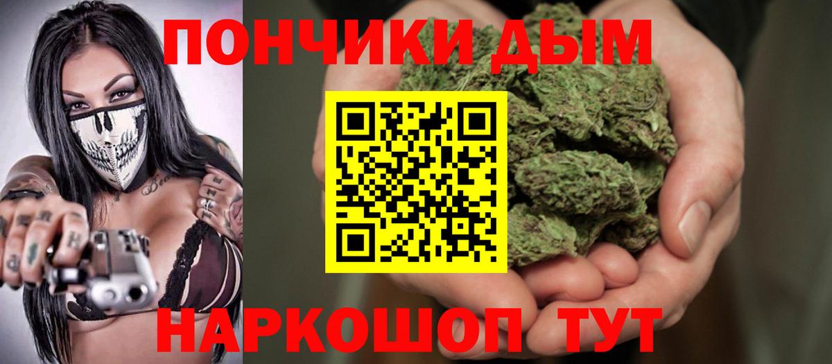 Каннабис сатива Ноябрьск